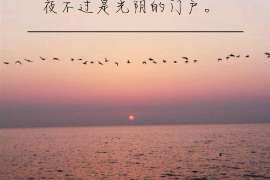 新浦侦探调查